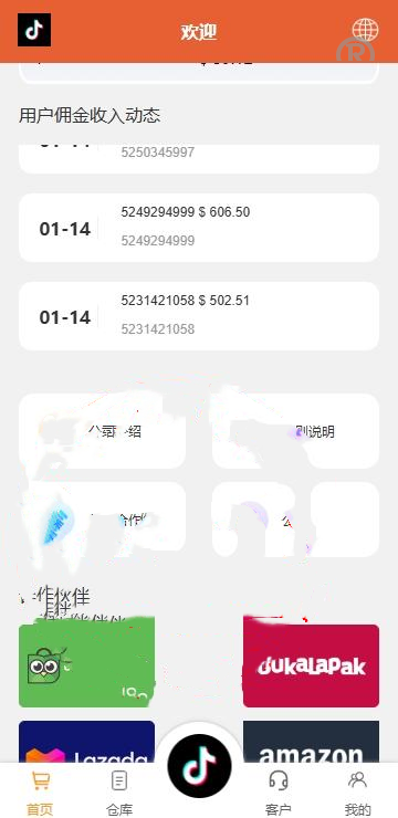 (推荐）海外tiktok多国言抢单刷单系统/前端uniapp/刷单打针