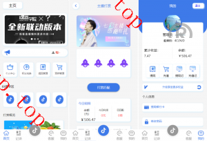亲测新款源码海外多国言 定制版抖音刷单系统 抖音抢单刷单源码 手动自动抢单 UI PHP