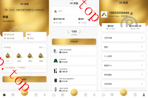 亲测新款源码海外多国言 抢单刷单系统 连单卡单 刷单抢单源码 UI PHP