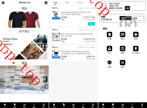 亲测新款源码全新多国言 tiktok抢单系统 任务快杀盘 刷单系统 前端Vue 后端thinkphp