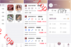亲测新款源码VUE源代码 视频同城 空降任务 系统源码 视频 投注任务 平台运营版