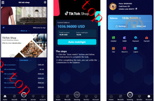 亲测新款源码新版多国言TIKTOK刷单 海外TIKTOK抢单 策略组 打针 独家