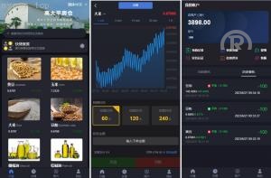 新版微交易 二开版微交易系统 重构版海外微盘系统 粮食微盘系统 K线正常 二开微盘